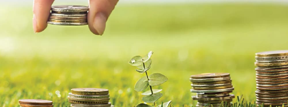 The Future of Land Investment: Trends to Watch for in the Next Decade