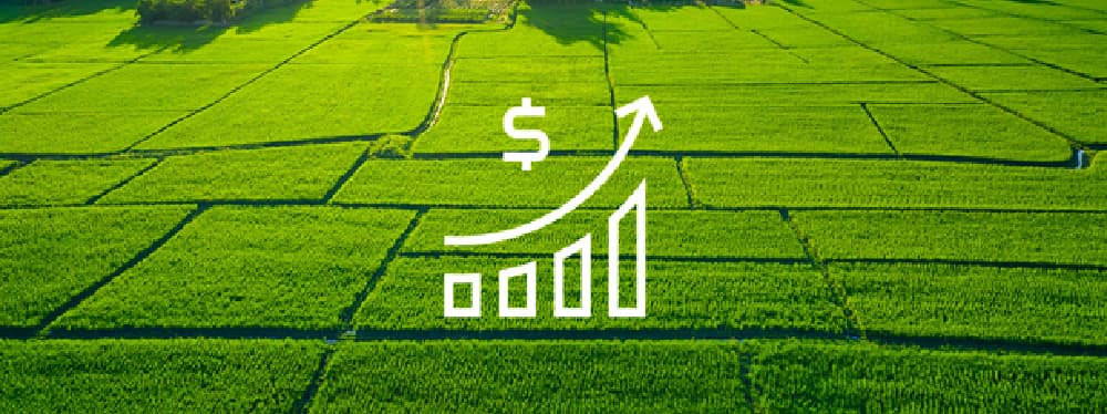Is Land Investment a Smart Strategy for Beginners?