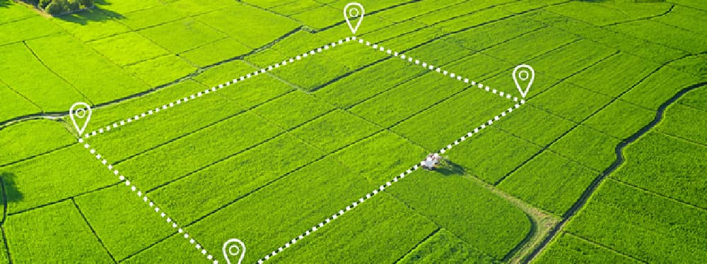 The Environmental Impact of Land Investment: How to Invest Responsibly