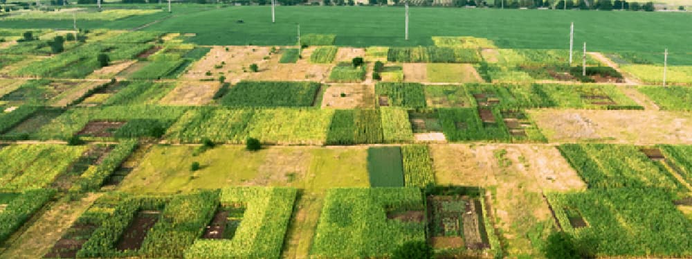 Why Land is the Ultimate Retirement Asset