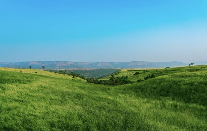 Why Smart Investors Are Rushing to Buy Land in 2025-2026