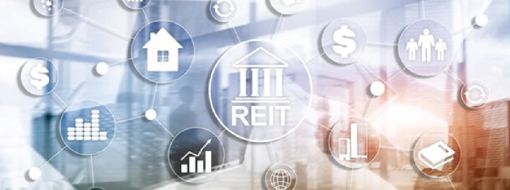 Second Homes vs. REITs: Where Should You Invest?