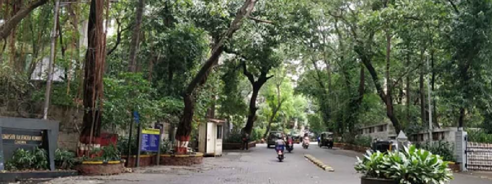 Bandra Pali Hill’s Architectural Grandeur: A Walk Through the Neighbourhood