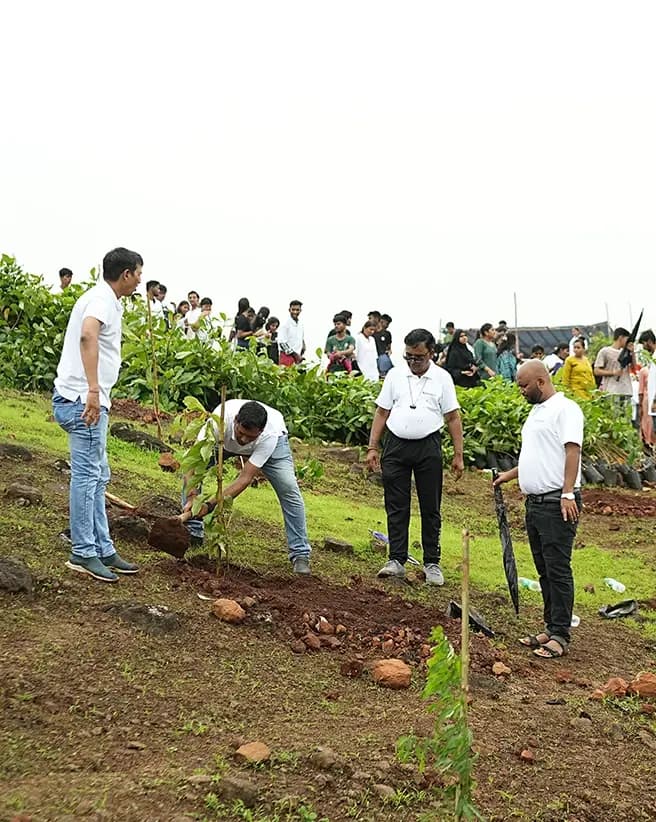 Environmental Stewardship