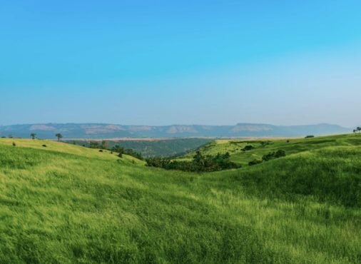 Why Smart Investors Are Rushing to Buy Land in 2025-2026