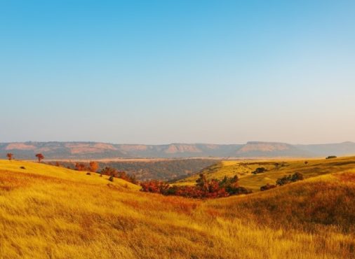 Why Is Diwali Considered a Lucky Time to Buy a Plot?