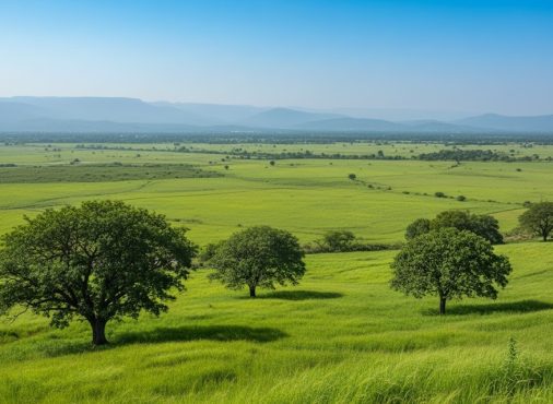 Can NRIs Buy Land in India? Understanding the Restrictions