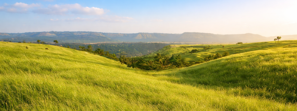 Experience Nature-Centric Living at Rustomjee Kasara