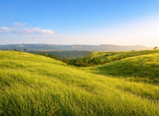 Experience Nature-Centric Living at Rustomjee Kasara