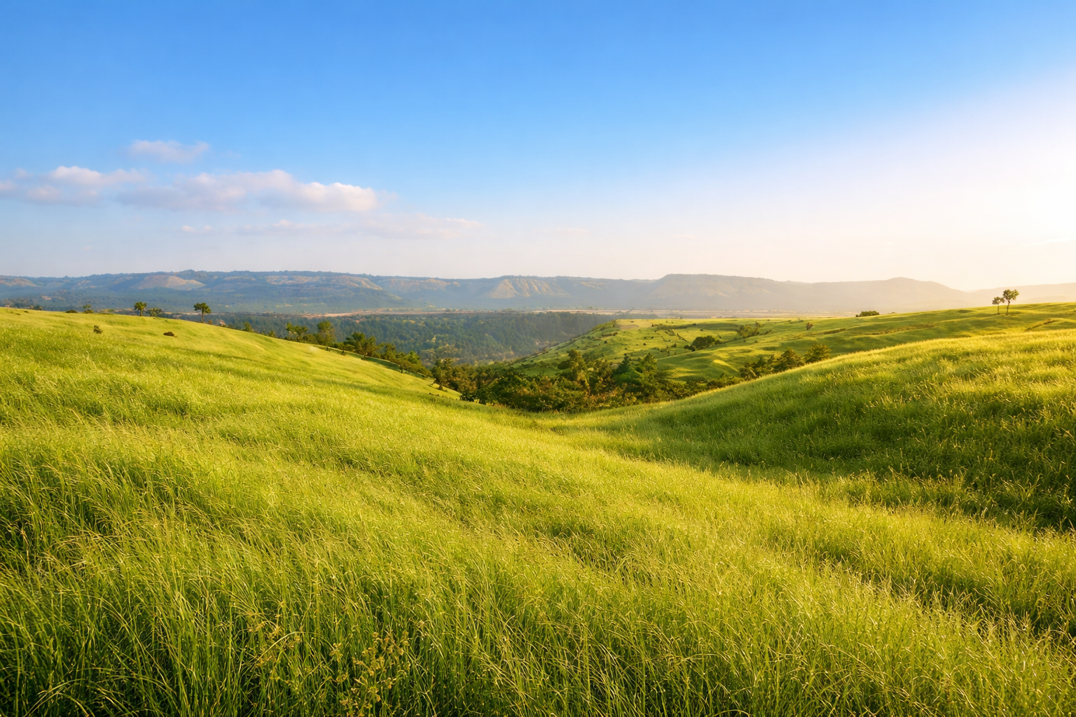 Experience Nature-Centric Living at Rustomjee Kasara