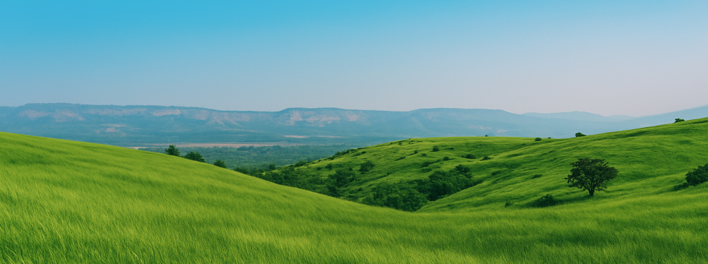 Why Plotted Developments Are Gaining Popularity in India’s Emerging Real Estate Markets