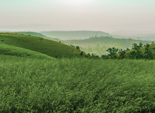 How Infrastructure Is Transforming Property Values in Kasara