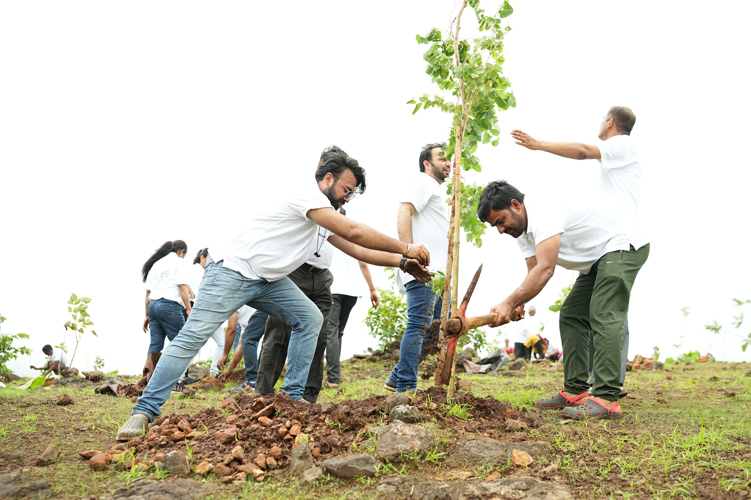 Kasara Tree Plantation Drive: Paving the Way for a Greener Tomorrow with Rustomjee