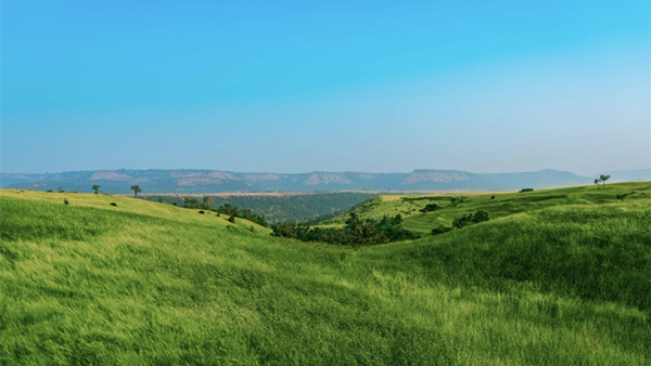 Land Investment in India: Opportunities, Advantages, and Strategies [2024]